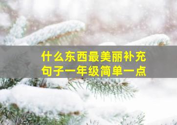 什么东西最美丽补充句子一年级简单一点