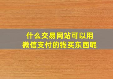 什么交易网站可以用微信支付的钱买东西呢