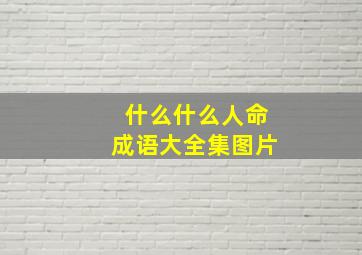 什么什么人命成语大全集图片