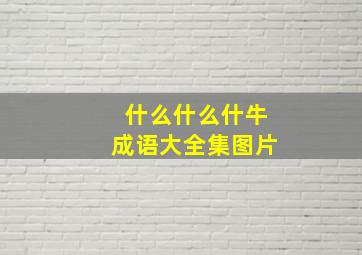 什么什么什牛成语大全集图片