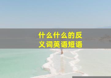 什么什么的反义词英语短语