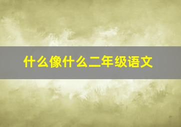 什么像什么二年级语文