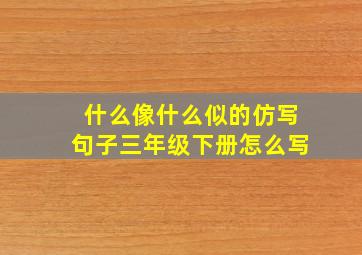 什么像什么似的仿写句子三年级下册怎么写