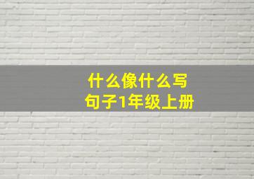 什么像什么写句子1年级上册