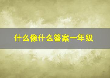 什么像什么答案一年级