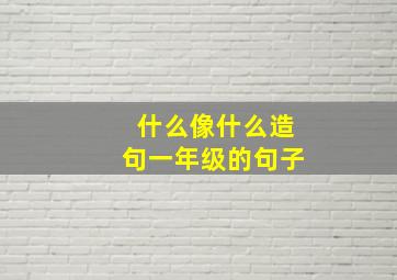 什么像什么造句一年级的句子