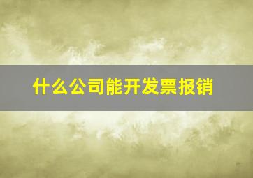 什么公司能开发票报销