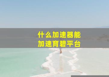 什么加速器能加速育碧平台