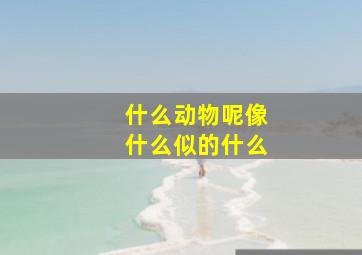 什么动物呢像什么似的什么