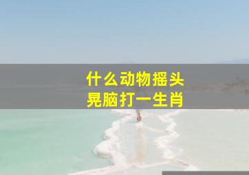 什么动物摇头晃脑打一生肖