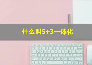 什么叫5+3一体化