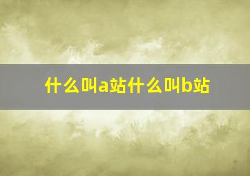 什么叫a站什么叫b站