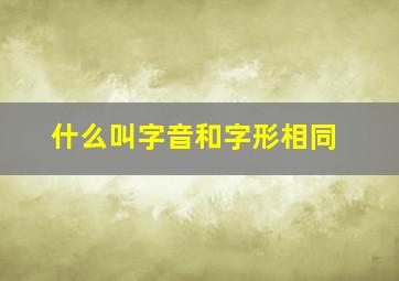 什么叫字音和字形相同