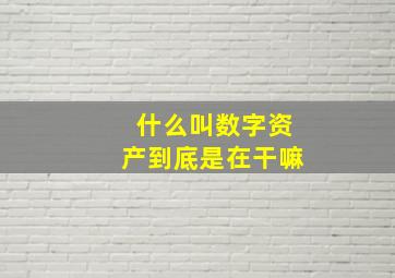 什么叫数字资产到底是在干嘛