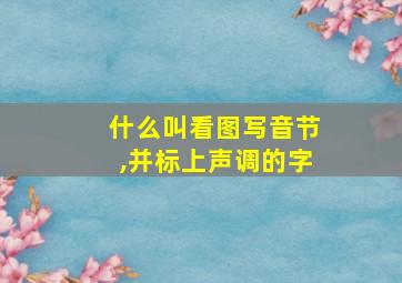 什么叫看图写音节,并标上声调的字