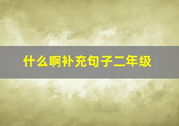 什么啊补充句子二年级