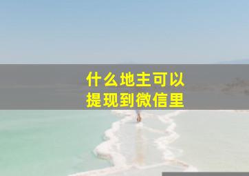 什么地主可以提现到微信里