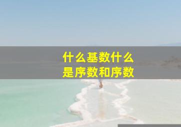 什么基数什么是序数和序数