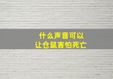 什么声音可以让仓鼠害怕死亡