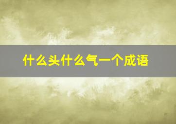 什么头什么气一个成语