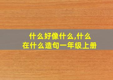 什么好像什么,什么在什么造句一年级上册