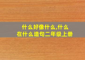 什么好像什么,什么在什么造句二年级上册