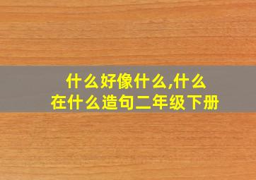 什么好像什么,什么在什么造句二年级下册