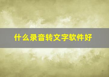 什么录音转文字软件好