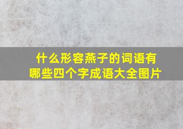 什么形容燕子的词语有哪些四个字成语大全图片