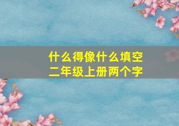 什么得像什么填空二年级上册两个字