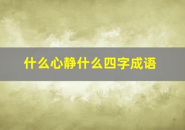 什么心静什么四字成语