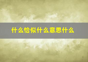 什么恰似什么意思什么