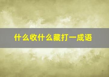 什么收什么藏打一成语