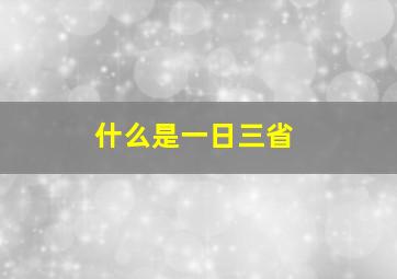 什么是一日三省