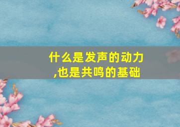 什么是发声的动力,也是共鸣的基础