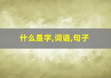 什么是字,词语,句子