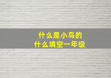 什么是小鸟的什么填空一年级