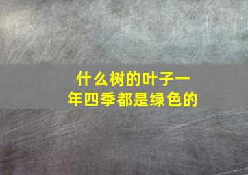 什么树的叶子一年四季都是绿色的