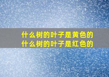 什么树的叶子是黄色的什么树的叶子是红色的