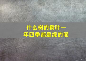 什么树的树叶一年四季都是绿的呢