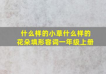 什么样的小草什么样的花朵填形容词一年级上册