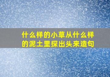 什么样的小草从什么样的泥土里探出头来造句