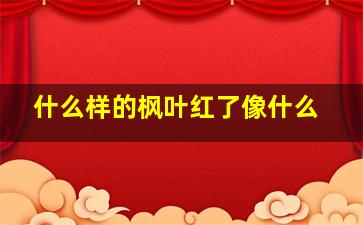 什么样的枫叶红了像什么