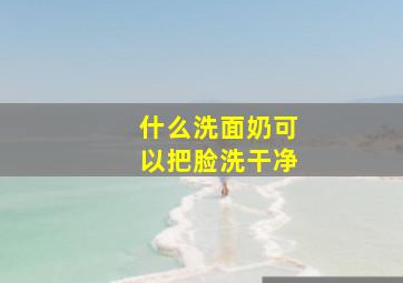 什么洗面奶可以把脸洗干净