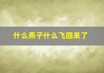 什么燕子什么飞回来了