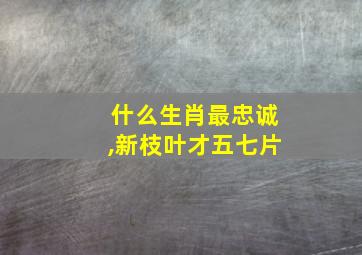 什么生肖最忠诚,新枝叶才五七片