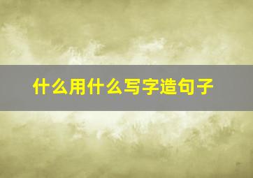 什么用什么写字造句子