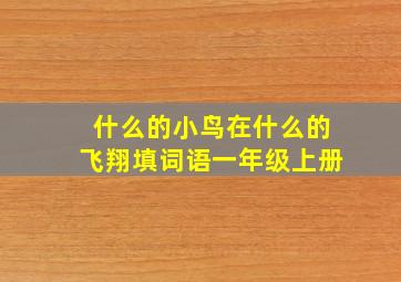 什么的小鸟在什么的飞翔填词语一年级上册