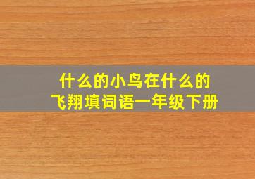 什么的小鸟在什么的飞翔填词语一年级下册