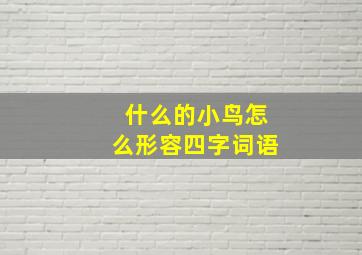 什么的小鸟怎么形容四字词语